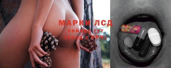 PSILOCYBIN Бронницы