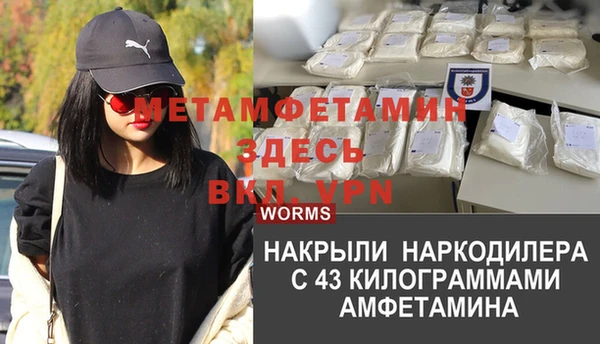 PSILOCYBIN Бронницы