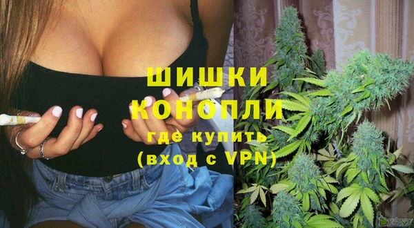 скорость Бородино