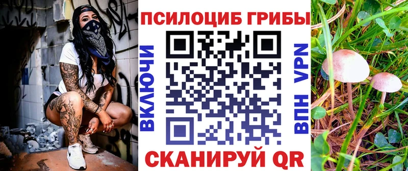 Псилоцибиновые грибы Psilocybe  даркнет сайт  Кирс 